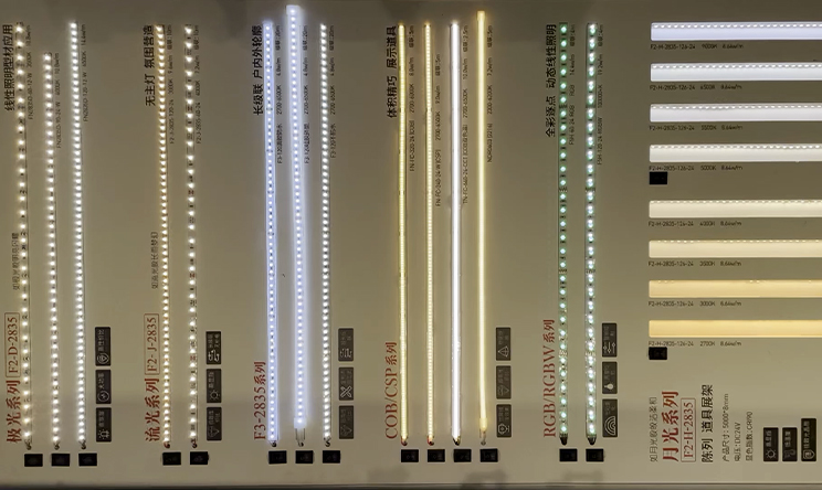 Lighting Application & Choreography